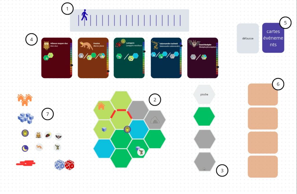 Prototype de jeu de société sur la biodiversité nocturne et l'environnement